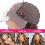 Highlight Wig Human Hair Deep
