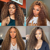 Highlight Wig Human Hair Deep